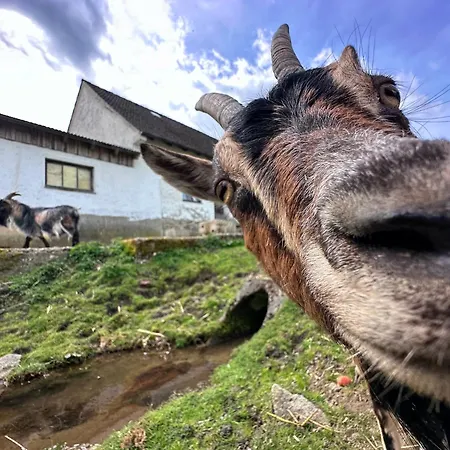 Seeblick - Tiny Direkt Am *