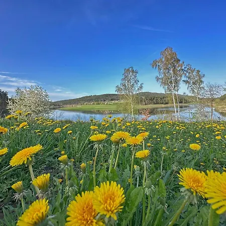 Seeblick - Tiny Direkt Am Ferienhaus
